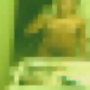 Contacte Leana, 38 ans à Guéreins gratuitement