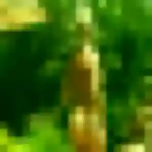 Photo sexy de Priscilla, 37 ans à Guillestre - plan discret