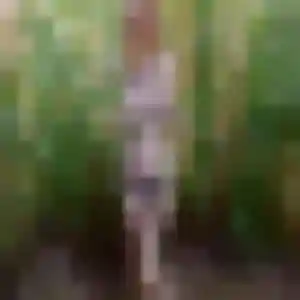 Photo de Lou-Anne à Guitrancourt (23 ans) - plan cul discret