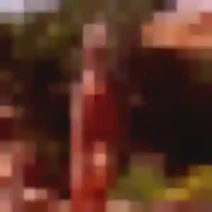 Photo perso de Gilberte, 22 ans à Guîtres - plan discret