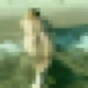 Photo perso de Nicole, 34 ans à Gujan-Mestras - rencontre sans lendemain