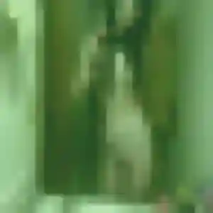 Patricia, 41 ans, dispo pour plan cul à Hauteville-sur-Fier
