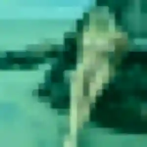 Jolie Chloe, 25 ans à Haverskerque - la contacter