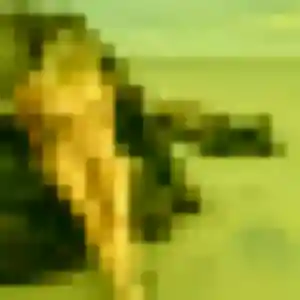 Photo perso de Capucine, 42 ans à Henvic - rencontre coquine