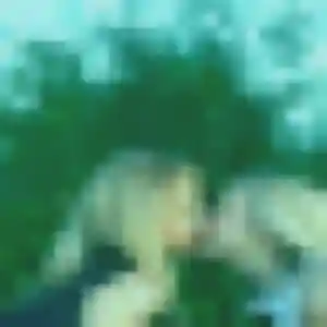 Photo de Violette à Héricy (33 ans) - plan cul anonyme