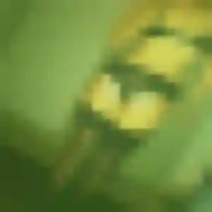 Sara, femme de 23 ans cherche plan cul à Hermes