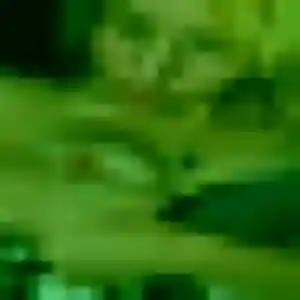 Photo sexy de Honorine, 28 ans à Hindisheim - rencontre coquine