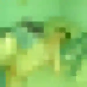 Thais de Honnecourt-sur-Escaut, 32 ans - plan cul discret