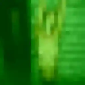Photo de Hajar à Huismes (37 ans) - plan cul gratuit