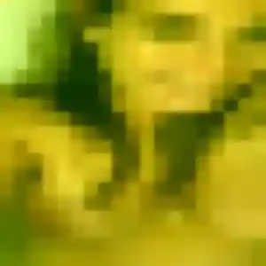 Alice, 31 ans, cherche un plan cul à Isneauville