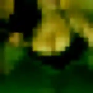 Photo de Chloe à Ispoure (30 ans) - plan cul discret