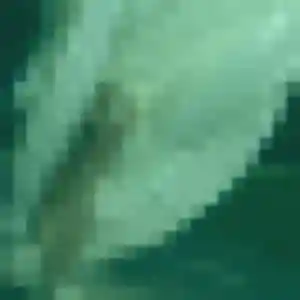 Quitterie, 45 ans, connectée à Jaulzy pour une rencontre coquine