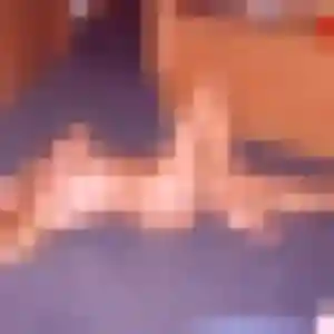 Belle Leontine, 27 ans à Joué-en-Charnie - la contacter