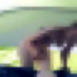Lamia (38 ans) à Jouy-le-Moutier propose un plan cul maintenant