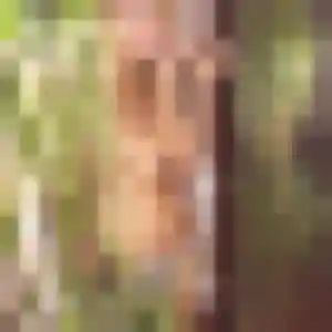 plan cul à Kirchberg : photo de Emma, 45 ans - accès libre