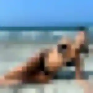 Photo de Rachel à L'Isle-d'Espagnac (43 ans) - plan cul discret