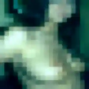 Photo de Djamila à L'Isle-sur-la-Sorgue (37 ans) - plan cul anonyme
