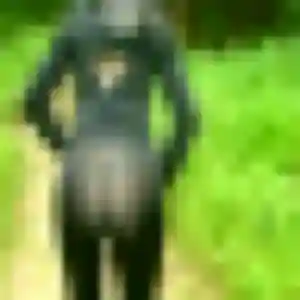 Myriam, fille de 42 ans cherche plan cul à L'Orbrie