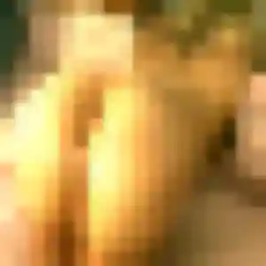 Contacte Flore, 22 ans à La Bassée en privé