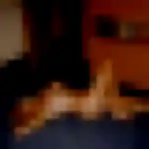 Isabella, 30 ans, cherche un plan cul à La Bassée