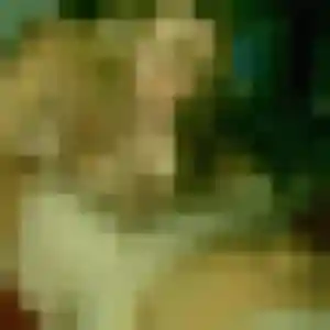 Photo de Graziella à La Baume-de-Transit (32 ans) - plan cul discret