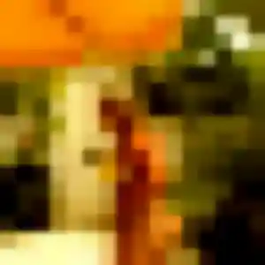 Profil de Katia à La Bazoge-Montpinçon (23 ans) - plan cul anonyme
