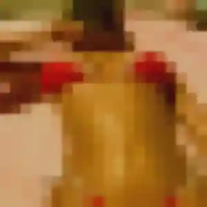 Photo de Albertine à La Chapelle-Glain (27 ans) - plan cul anonyme