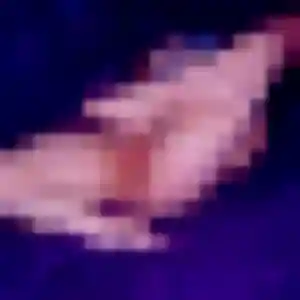 Wilhelmine, 42 ans, en ligne à La Ferrière-Bochard pour une rencontre coquine