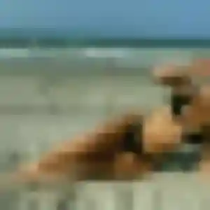 Priscilla, femme de 32 ans cherche plan cul à La Feuillée