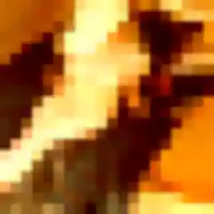 Myriam (45 ans) à La Petite-Boissière attend une rencontre ce soir