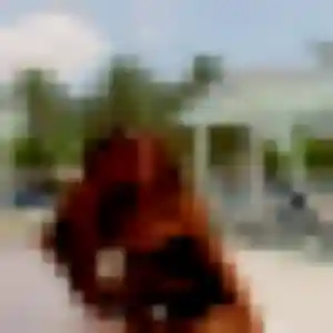 Anne-Sophie, 26 ans, disponible à La Séauve-sur-Semène pour une rencontre coquine