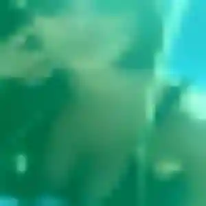 Belle Marie-Claire, 43 ans à La Talaudière - la contacter