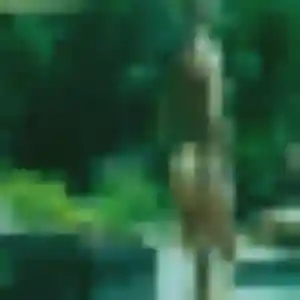 Romane de La Tranche-sur-Mer, 45 ans - plan cul sans lendemain