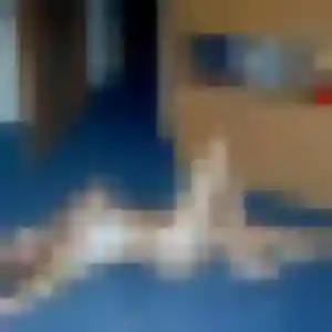 Clara (23 ans) à La Trinité-sur-Mer cherche un plan cul ce soir