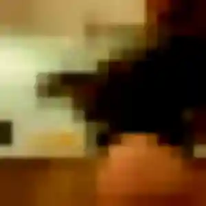 Alix, fille de 38 ans cherche plan cul à La Vergne