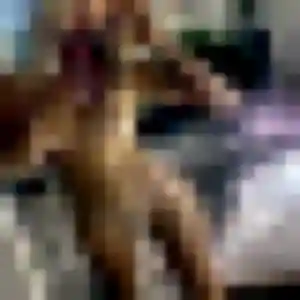 Aisha, femme de 26 ans cherche plan cul à La Ville-du-Bois