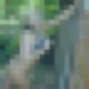 Audrey, 40 ans, en ligne à Labarthe-sur-Lèze pour un plan cul
