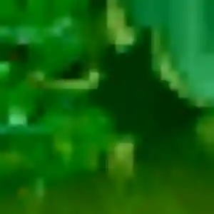 Clarisse (38 ans) à Labrit cherche un plan cul maintenant