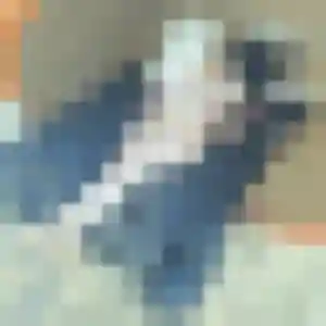 Flore, femme de 35 ans cherche plan cul à Lafitte-sur-Lot