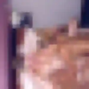 Cecile, fille de 26 ans cherche plan cul à Laize-Clinchamps