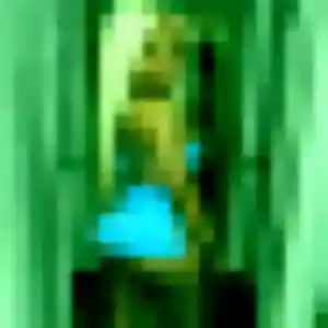 Contacte Tamara, 22 ans à Lampaul-Ploudalmézeau en privé