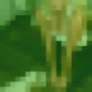 Photo de Marie-Jose à Lanildut (38 ans) - plan cul gratuit