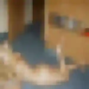Photo de Graziella à Lanvaudan (25 ans) - plan cul gratuit