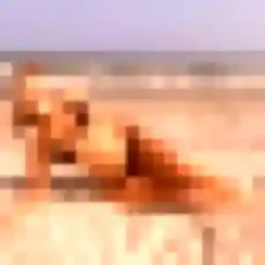 Photo sexy de Gisele, 26 ans à Laroque - rencontre sans lendemain