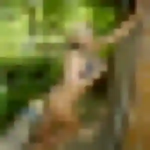 Ambre, femme de 22 ans cherche plan cul à Lattes