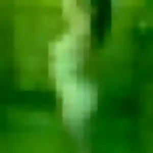 plan cul à Lauret : photo de Yasmine, 44 ans - inscription gratuite