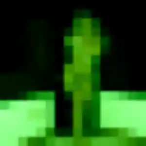 Découvre Zelda, 40 ans à Lavault-Sainte-Anne en t'inscrivant