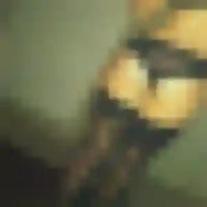 Profil de Karen à Lavernose-Lacasse (38 ans) - plan cul gratuit