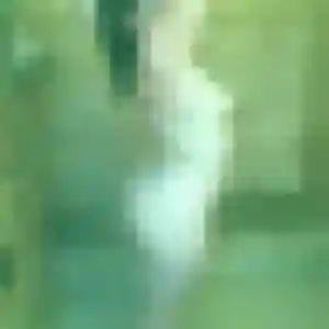 Découvre Olivia, 22 ans à Le Cateau-Cambrésis en privé