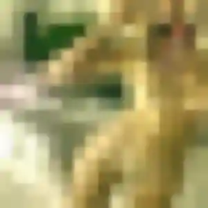 Vicky de Le Coteau, 45 ans - plan cul discret